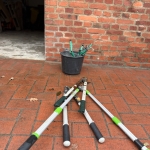 IMG_6684.jpeg